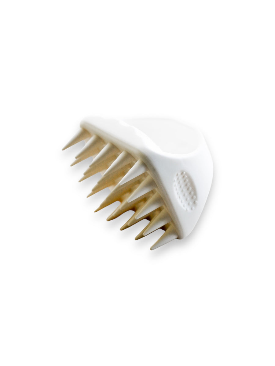 The Scalp Brush